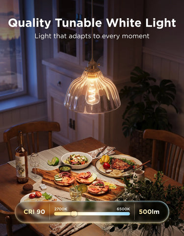Govee E26 Smart Edison Light Bulb 500lm