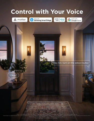 Govee E26 Smart Edison Light Bulb 500lm