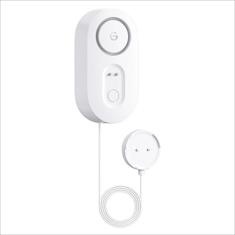 GoveeLife Water Leak Detector 1s