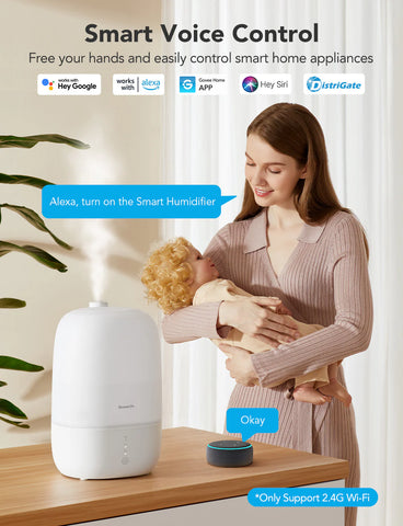 GoveeLife Smart Humidifier Lite