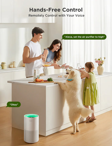 GoveeLife Smart Air Purifier 2 Pro