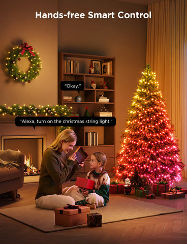 [super sale]Govee Christmas String Lights 2