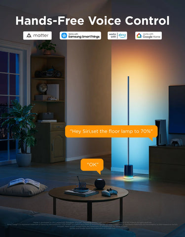 [Super Sale]Govee Floor Lamp 2