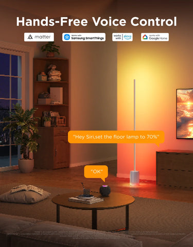 [Super Sale]Govee Floor Lamp 2
