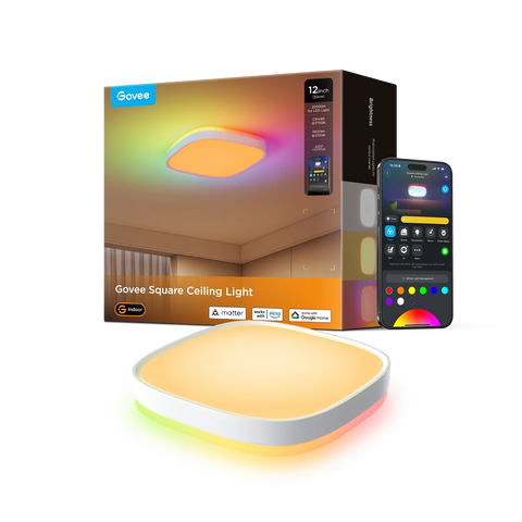 Govee 12-Inch RGBWW + RGBIC Smart Ceiling Light