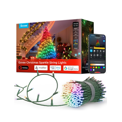 Govee Christmas Sparkle String Lights