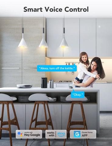 Govee Smart Plug Pro with Energy Monitoring