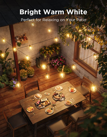Govee Outdoor Clear Bulb String Lights