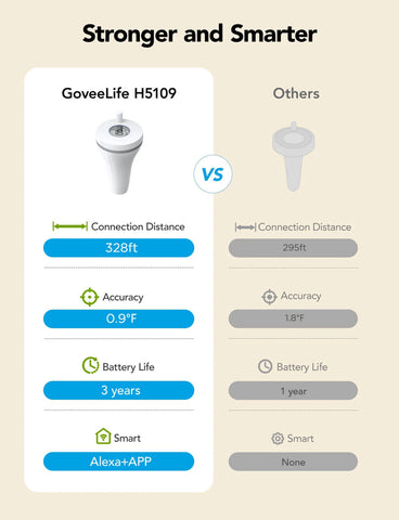 GoveeLife Smart Thermometer P1
