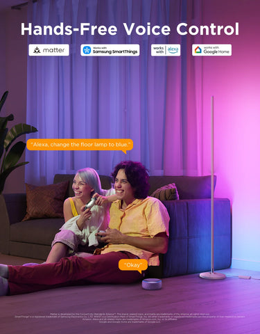 Govee RGBICW Smart Floor Lamp Basic