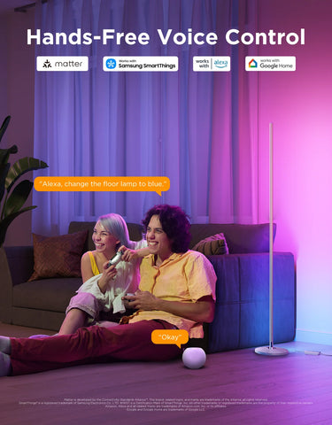 Govee RGBICW Smart Floor Lamp Basic