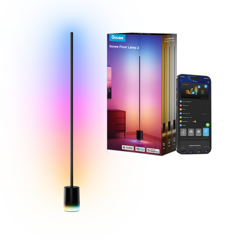 Govee Floor Lamp 2