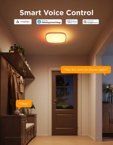Govee 12-Inch RGBWW + RGBIC Smart Ceiling Light