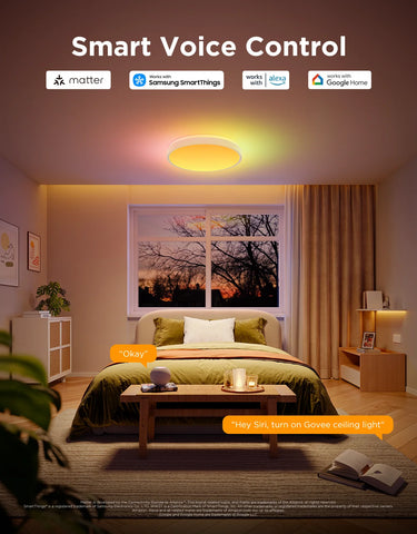 Govee 15-Inch RGBICWW Smart Ceiling Light Pro