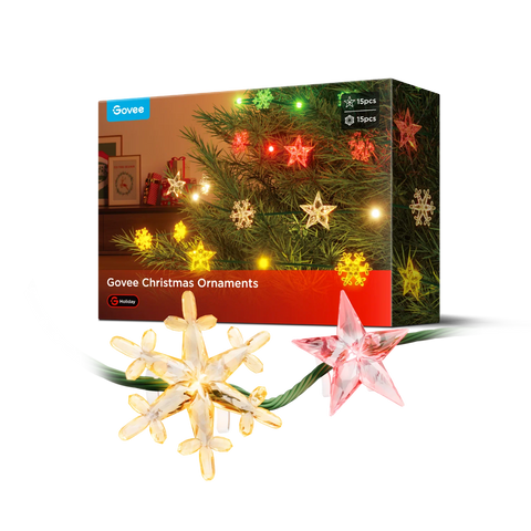 Govee Christmas String Lights 2