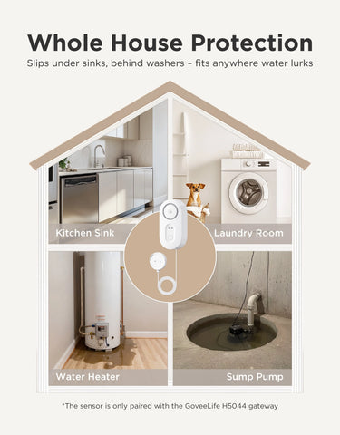 GoveeLife Water Leak Detector 1s With Sensor Cable