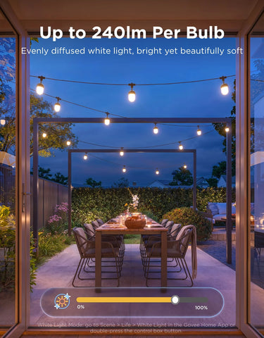 Govee Outdoor Chromatic String Lights