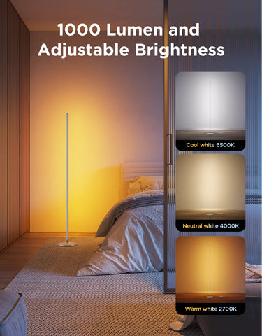 Govee RGBICW Smart Floor Lamp Basic