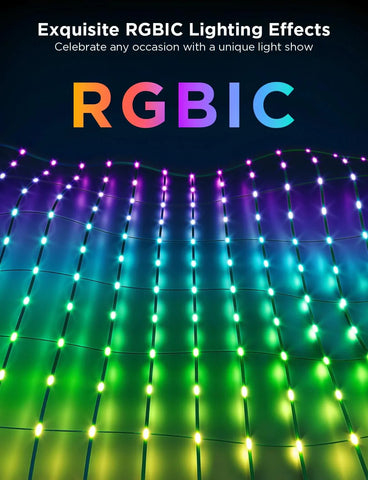 Govee Net Lights