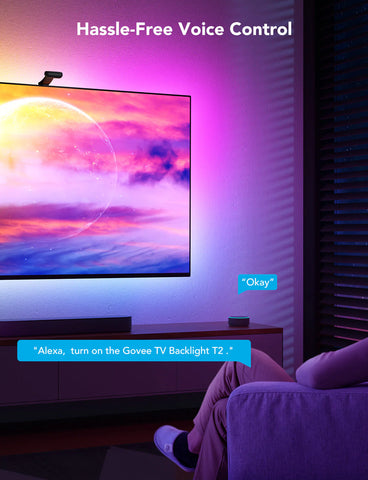 Govee Envisual TV Backlight T2