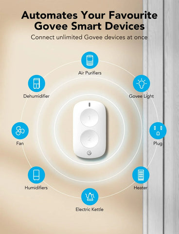 GoveeLife Smart Mini Double Button Switch