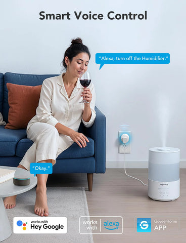 Govee Smart Plug Pro