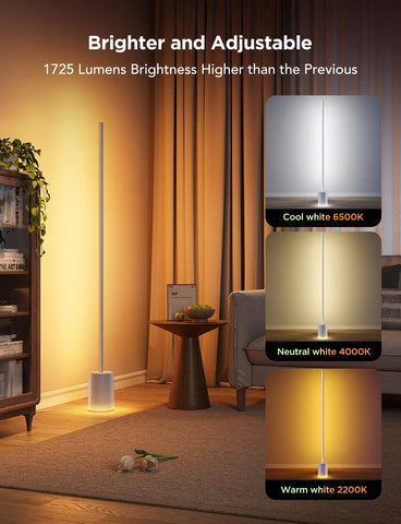 [Super Sale]Govee Floor Lamp 2